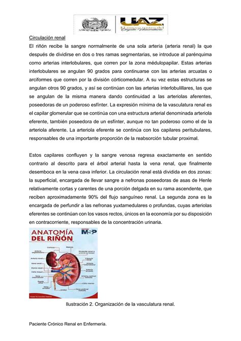 Atencion Al Paciente Cronico Renal Por Enfe Pdf Descarga Gratuita