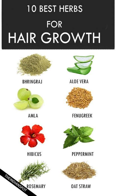 Pin By Healthy Hair Growth On Hair Growth Herbs For Hair Herbs For