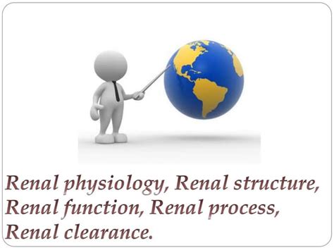 Renal physiology, Renal structure, Renal function, Renal process, Renal ...