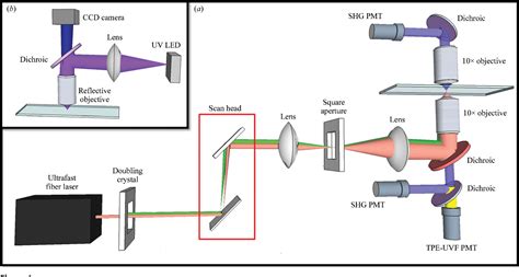 Figure From Two Photon Excited Uv Fluorescence For Protein Crystal