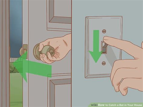 Learn How To Do Anything How To Catch A Bat In Your House