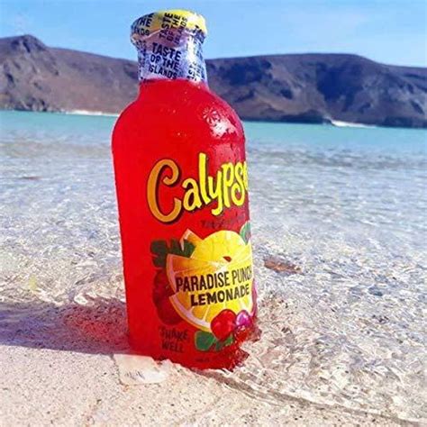 Calypso Lemonades 16oz Glass Bottles 6 Pack Paradise Punch Flavor