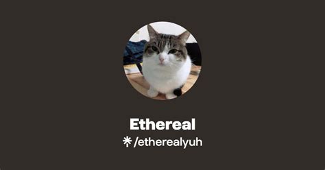 Ethereal Twitter Instagram Tiktok Twitch Linktree