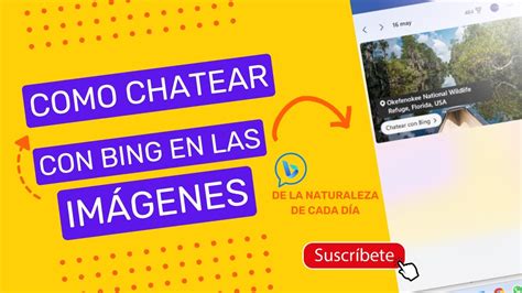 COMO CHATEAR CON BING EN LAS IMAGENES DE LA NATURALEZA DE CADA DÍA