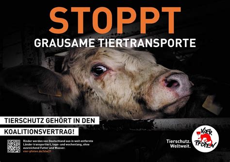 Eu Parlament Unterschriften Gegen Tiertransporte In Eu