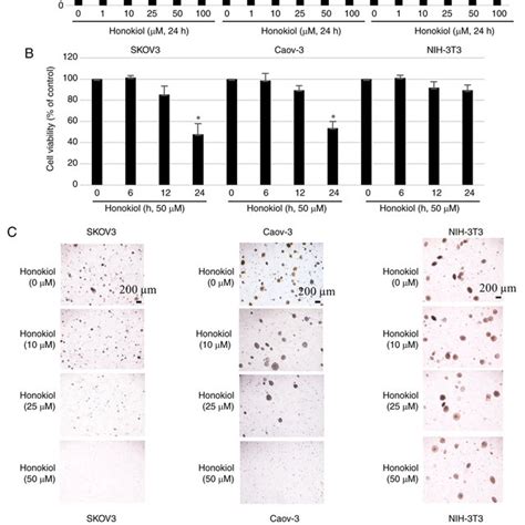 Honokiol Inhibits Ovarian Cancer Cell Migration And Invasion A Cells