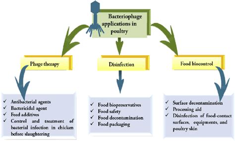 Applications of bacteriophage in the poultry. | Download Scientific Diagram