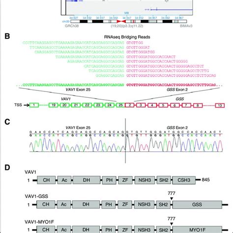 Identification And Validation Of Vav1 Fusions In Ptcl Nos A