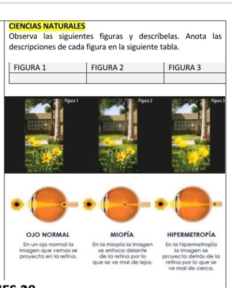 Es De Ciencias Naturales Brainly Lat