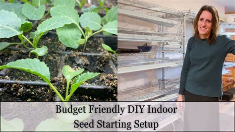 Budget Friendly Diy Indoor Seed Starting Setup Vegetable Seed Starting Indoors Youtube