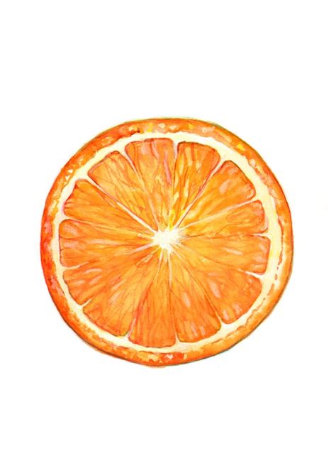 Orange Slice Illustration