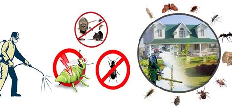 Pest Control And Fumigation Services Sylvie Cleaning Services