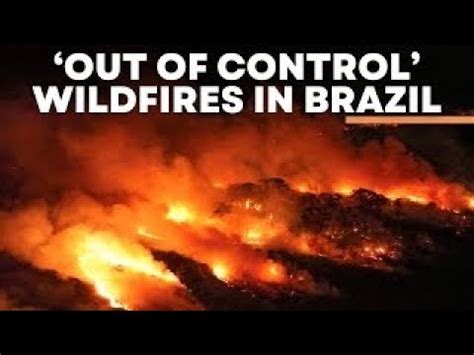 Brazil Wildfire Live Horrifying Visuals Of Wildfires Burn Across