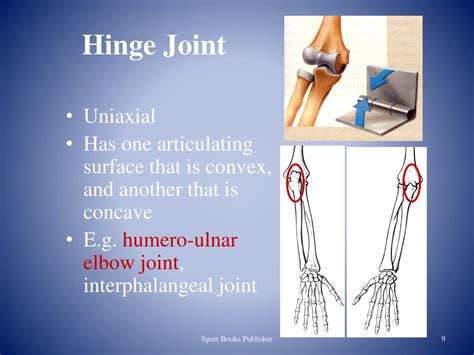 Ppt Joints Of The Human Body Powerpoint Presentation Free Download Id 2245512