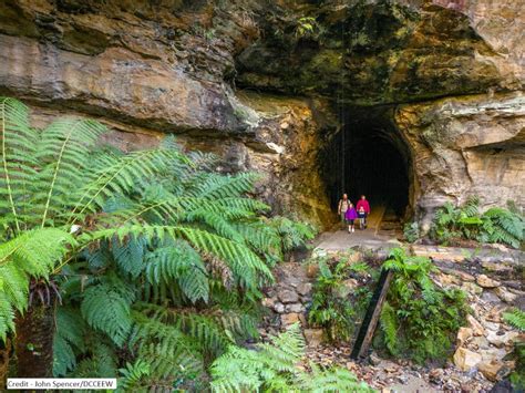 Glow Worm Tunnel Seven Valleys Tourism