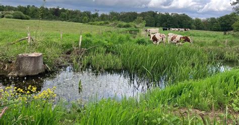 Natuurinclusieve Landbouw In De Achterhoek Natuurmonumenten