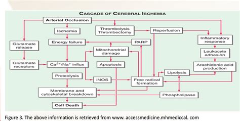 [PDF] Pathophysiology of acute ischemic stroke. | Semantic Scholar