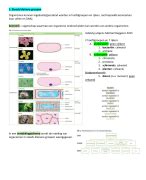 Samenvatting Biologie Thema Ordening Biologie Voor Jou Havo Vwo