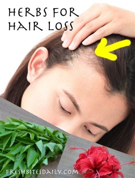 Herbs for Hair Loss – Natural Remedies for Thinning Hair | Herbs for ...