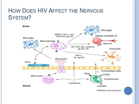 Neurologic Manifestation Of Hiv Aids