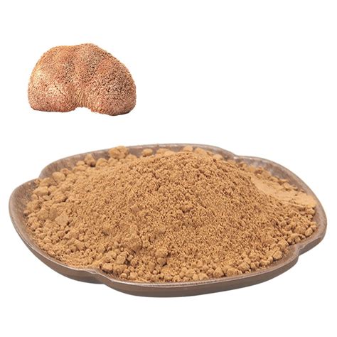 Organic Hericium Erinaceus Mushroom Extract Powder Lions Mane Mushroom