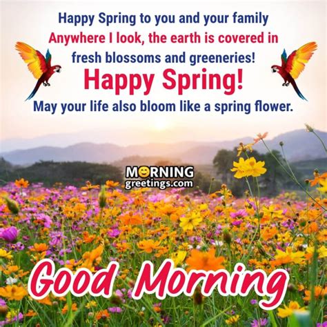 30 Good Morning Spring Wishes Morning Greetings Morning Quotes And