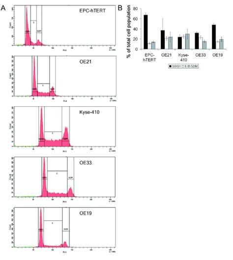 Cell Cycle Phase Distribution Analysis By Flow Cytometry In Normal