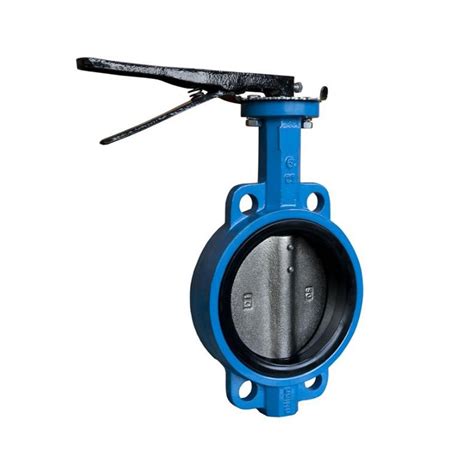 Butterfly Valve Arita Cast Iron Stainless Steel 316 Disc Lever Epdm North Power