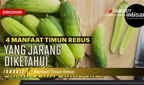 Intip 7 Manfaat Timun Rebus Yang Bikin Kamu Penasaran Discover