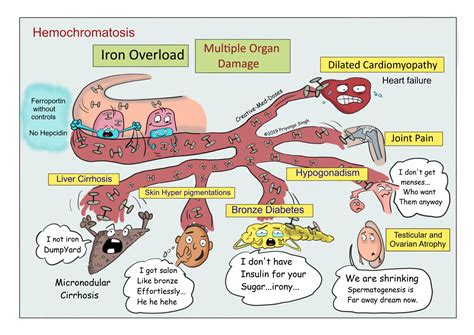 Hemochromatosis Integrated Health Solution