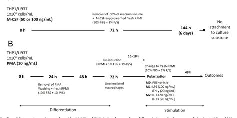 Figure 1 From Comparison Of Monocytic Cell Lines U937 And THP 1 As