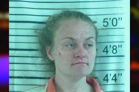 Hannah Allison — Stephens County Jail Bookings