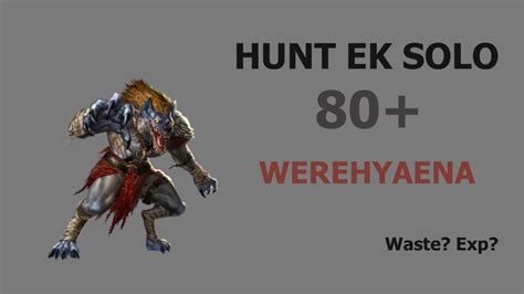 Tibia Ek Hunt Solo Werehyaenas Youtube