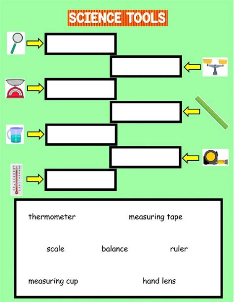 Science Tools | Live Worksheets - Worksheets Library