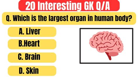 20 General Knowledge Question And Answers Youtube