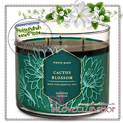 Bath Body Works Slatkin Co Candle Oz Cactus Blossom