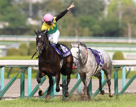 【宝塚記念】ファン投票1位タイトルホルダー、昨年の年度代表馬エフフォーリアなど20頭登録 競馬写真ニュース 日刊スポーツ