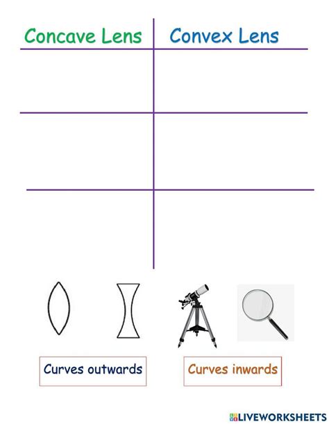 Lenses Interactive Worksheet Live Worksheets Worksheets Library