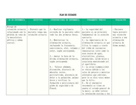 Plan De Cuidados Claudia Mamani Udocz