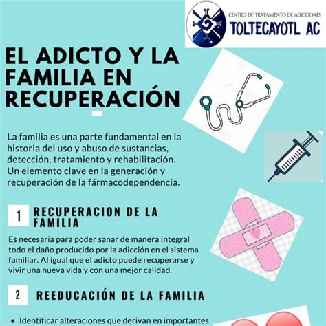 El Adicto Y La Familia En Recuperación Pdf Descarga Gratuita