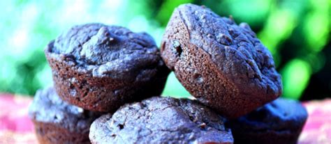 Mini Brownies Camino Canadian Fair Trade Organic Food Products