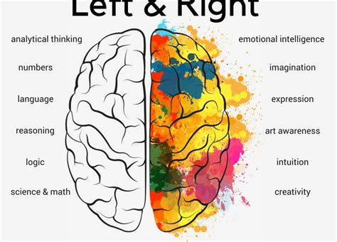 Sides of the Brain | Cliff's Edge Marketing