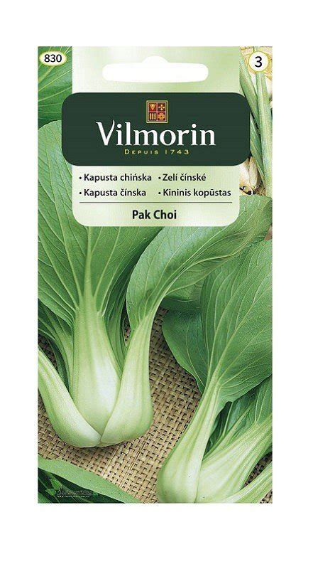 Kapusta chińska Pak Choi 2 g Vilmorin Inna marka Sklep EMPIK