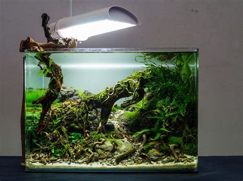 Nano Tank Aquascaping Aquascape Ideas