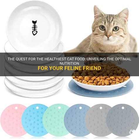 The Quest For The Healthiest Cat Food: Unveiling The Optimal Nutrition ...