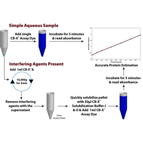 Bradford Coomassie Protein Assay Detergent And Reducing Agent Compatible