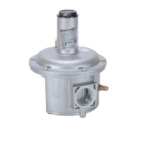 Distributor Giuliani Anello Air Gas Ratio Control Valve GAVR 25