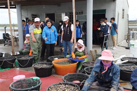 台西魚塭土堤崩塌完成搶修 張麗善盼中央協助全區治理 解決淹水、運輸沉痾