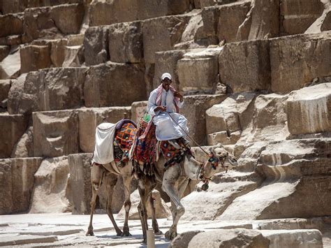 Egypt heightens security measures at Giza pyramids as 'Islamist