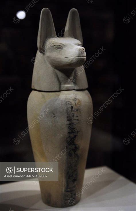 Canopic Jar With Lid In The Form Of The Head Of A Jackal Duamutef